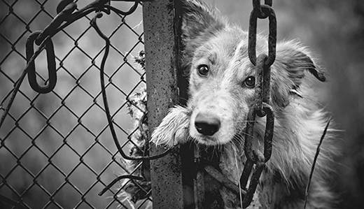 6a886b8c1d26fe630376_sompixbatemanpettrafficking.jpg
