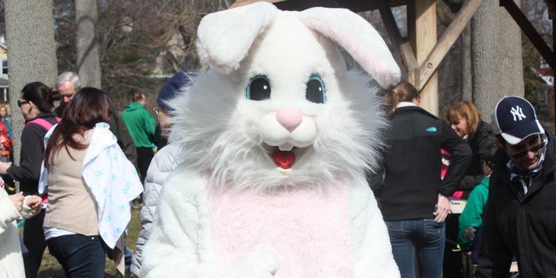 6dddd96dbb38c26a6e2d_344c2b57acc454a638c3_EasterEgg_hunt.jpg