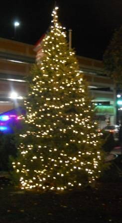 6ebb2141ec780e2a7aec_midtown_tree_lighting_2.jpg