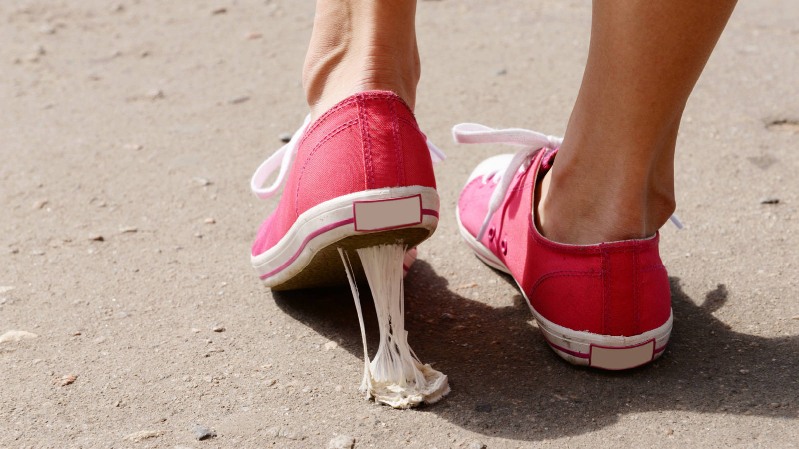 6ef8e1dbeabaee468e29_gum_litter_picture.jpg