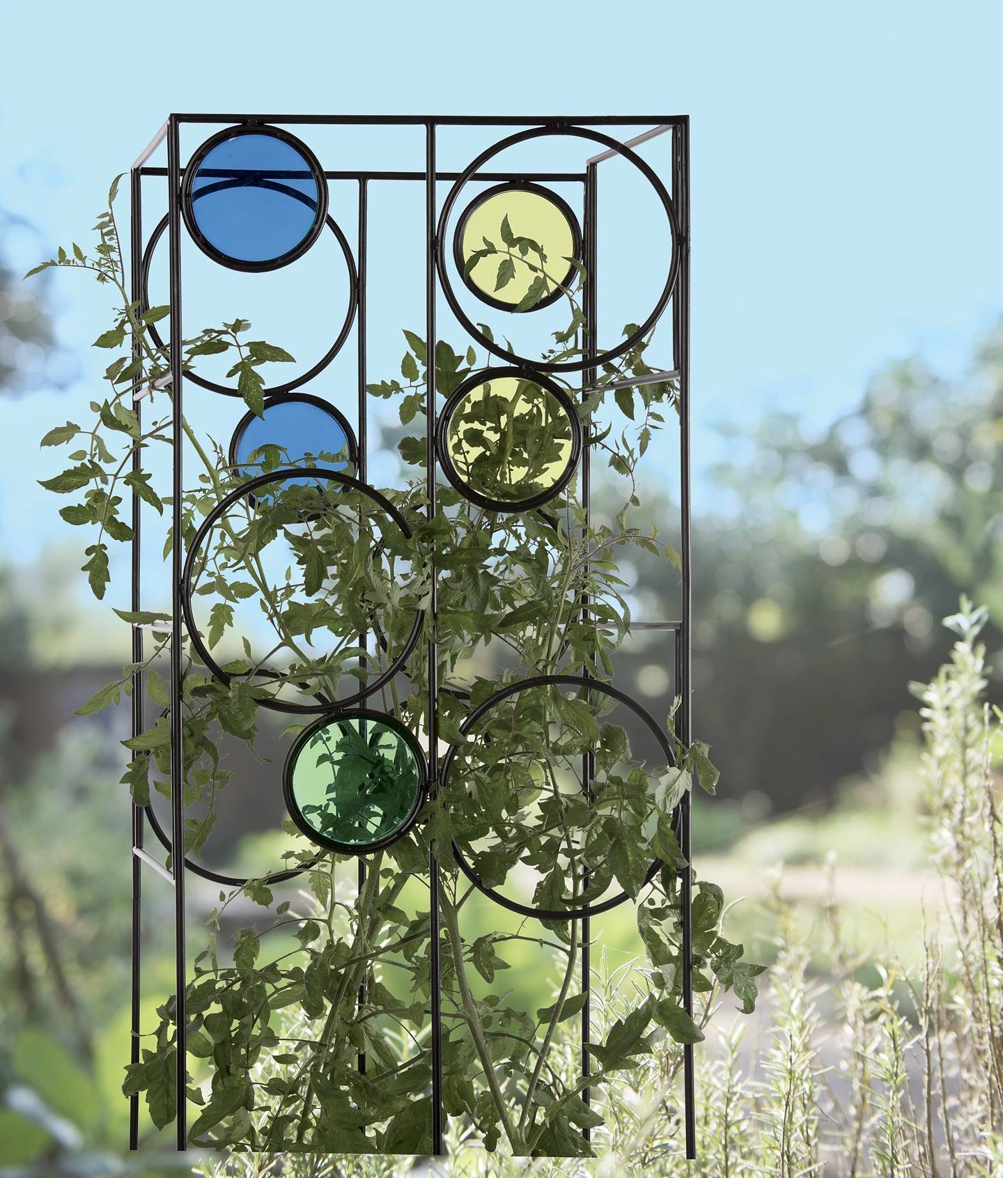 70d793eaaa55e75828ef_Tomato_Cage.jpg