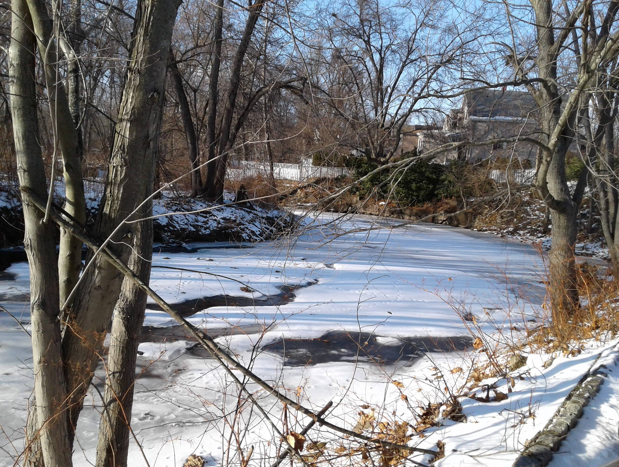 Little Falls Seeks To Reinstate Regional Flood Board For Two Towns