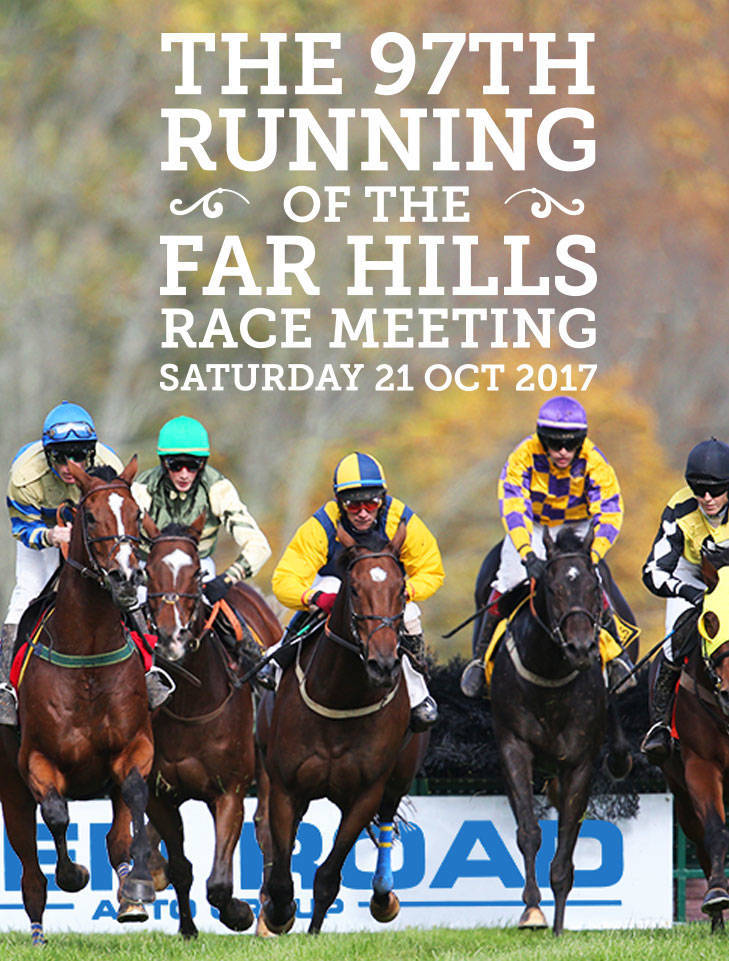 74d3c42a22b0baa12083_sompixfarhillsracemeetinghorses.jpg