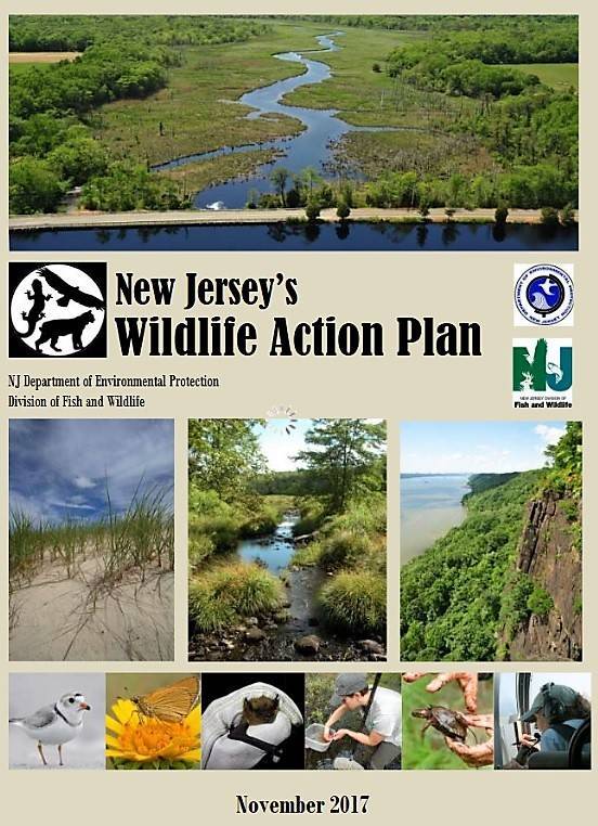 7657e0848bc197e6e3f8_njstatewildlifeplan.jpg