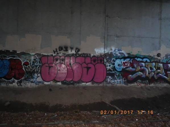 772a8f63305a2e178241_NPD_Grafitti_Feb_3_2017.jpg