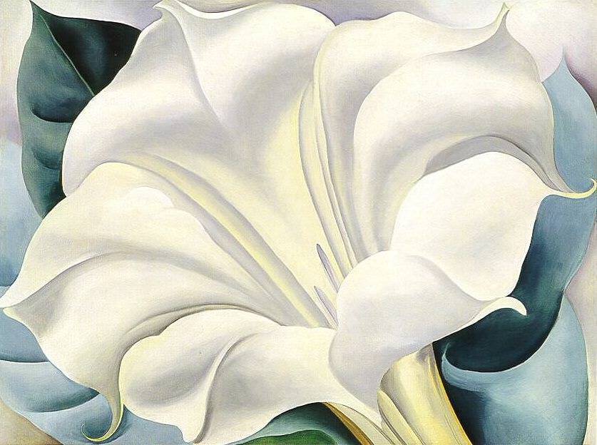 77d53082fd9fdb2a6f3a_ce0da6fdb676a1db9832_the-white-flower.jpg