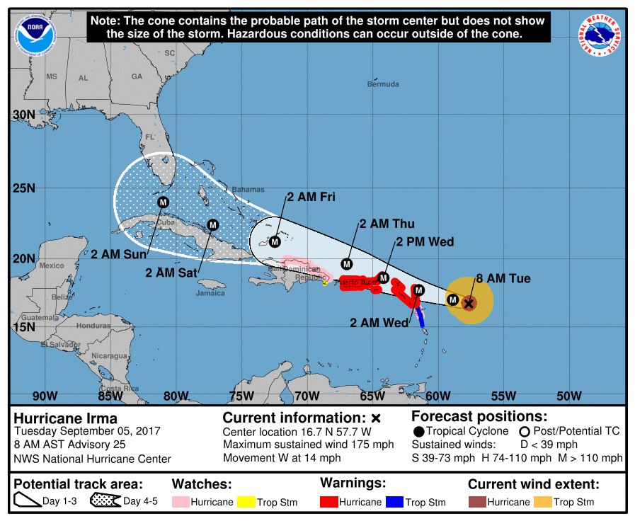 7870e2d962c396bf498b_irma.jpg