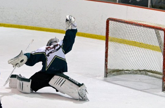 79a800af3d4b988164fa_ridge_hockey_-_goose.jpg
