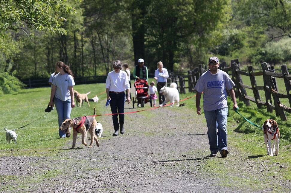 7ffb4af73f55f0bce5ac_dog_walk_april_24_2010__2_.jpg