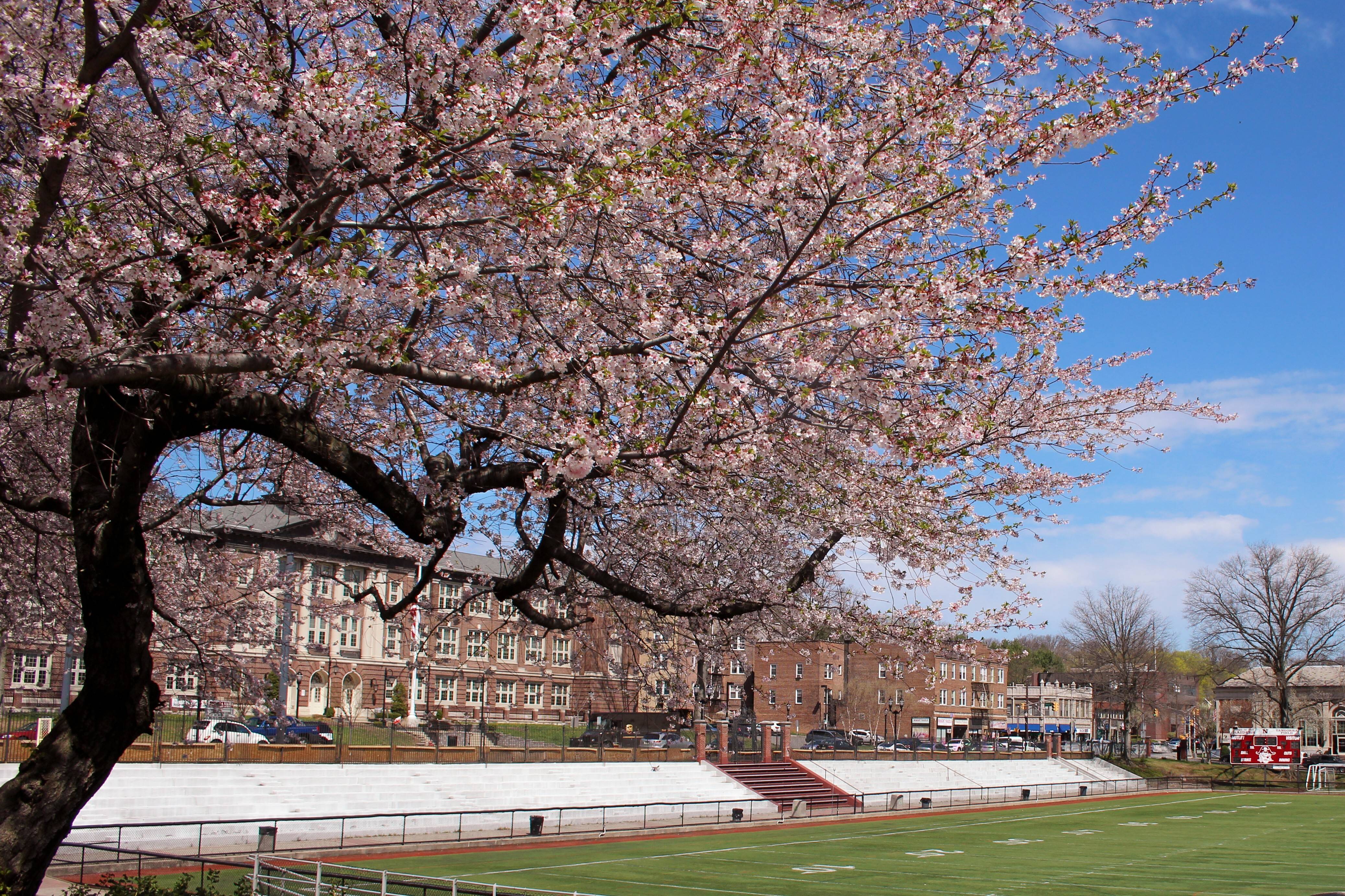 80403ef6a5dcdd142fae_Nutley_Walker_Middle_School_Oval__003.jpg