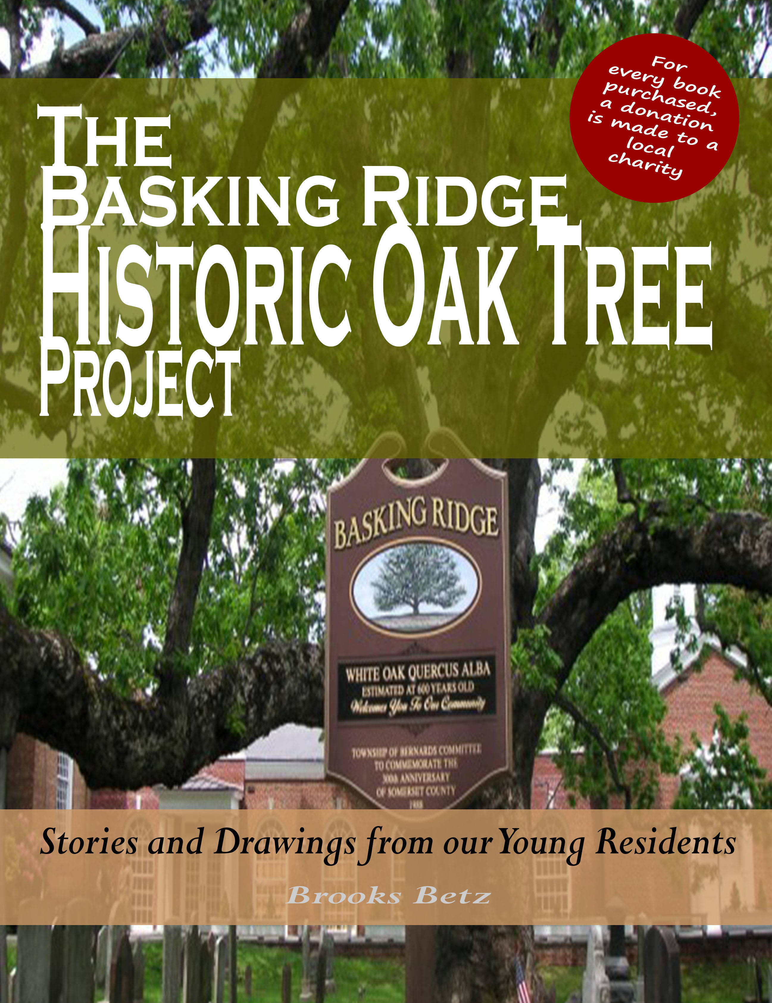 8066388f95cfb5514314_OakTreehisotricprojectBBetz.jpg
