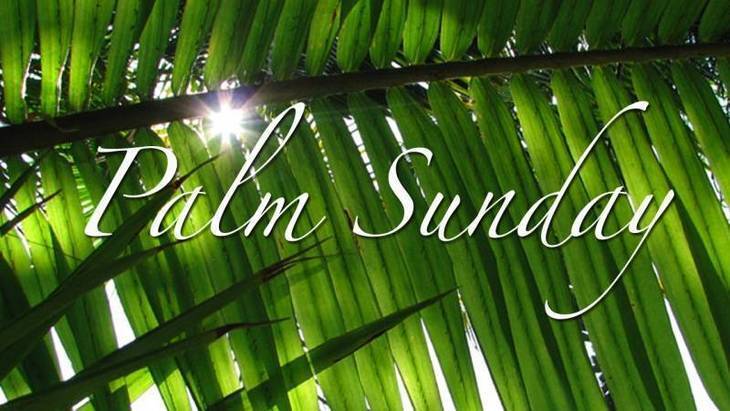 81a4dc84ca778e0b6ecc_TAPinto_Palm_Sunday.jpg