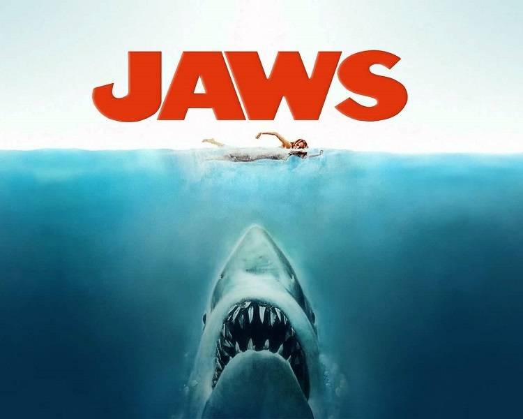 832243f3ce5095634958_Jaws_Image.jpg