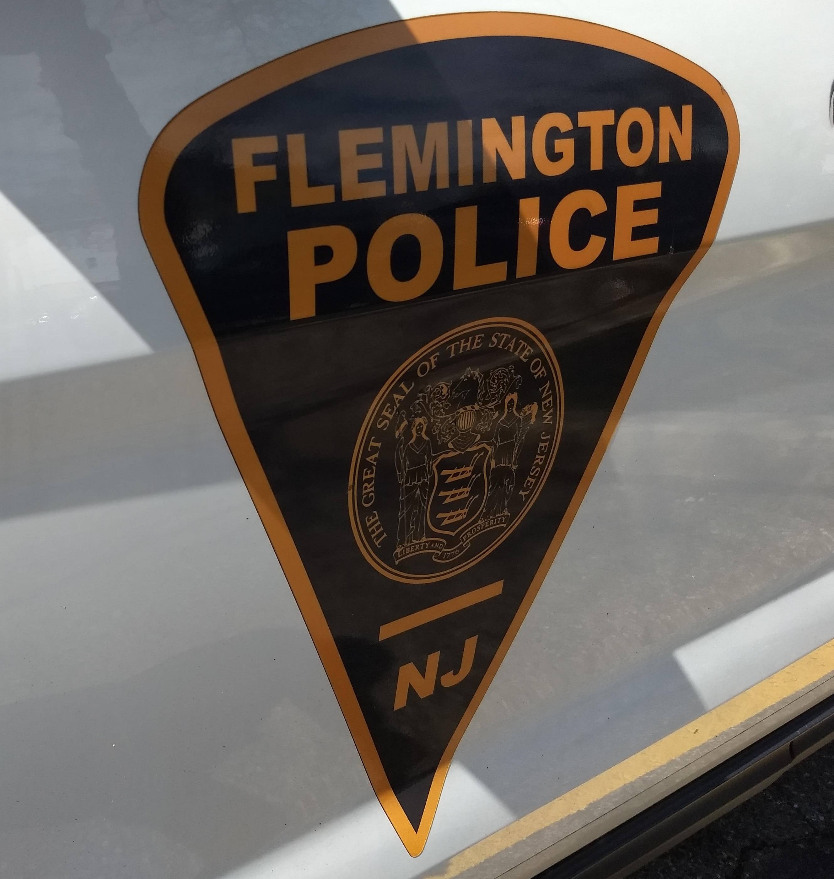 83340d22a786bc7db687_flem_cops_2.jpg