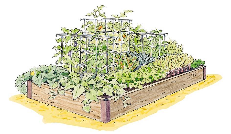 84965894c06db57304a0_High_Yield_Garden_Plan_photo_credit_Gardeners_Supply_Company.jpg