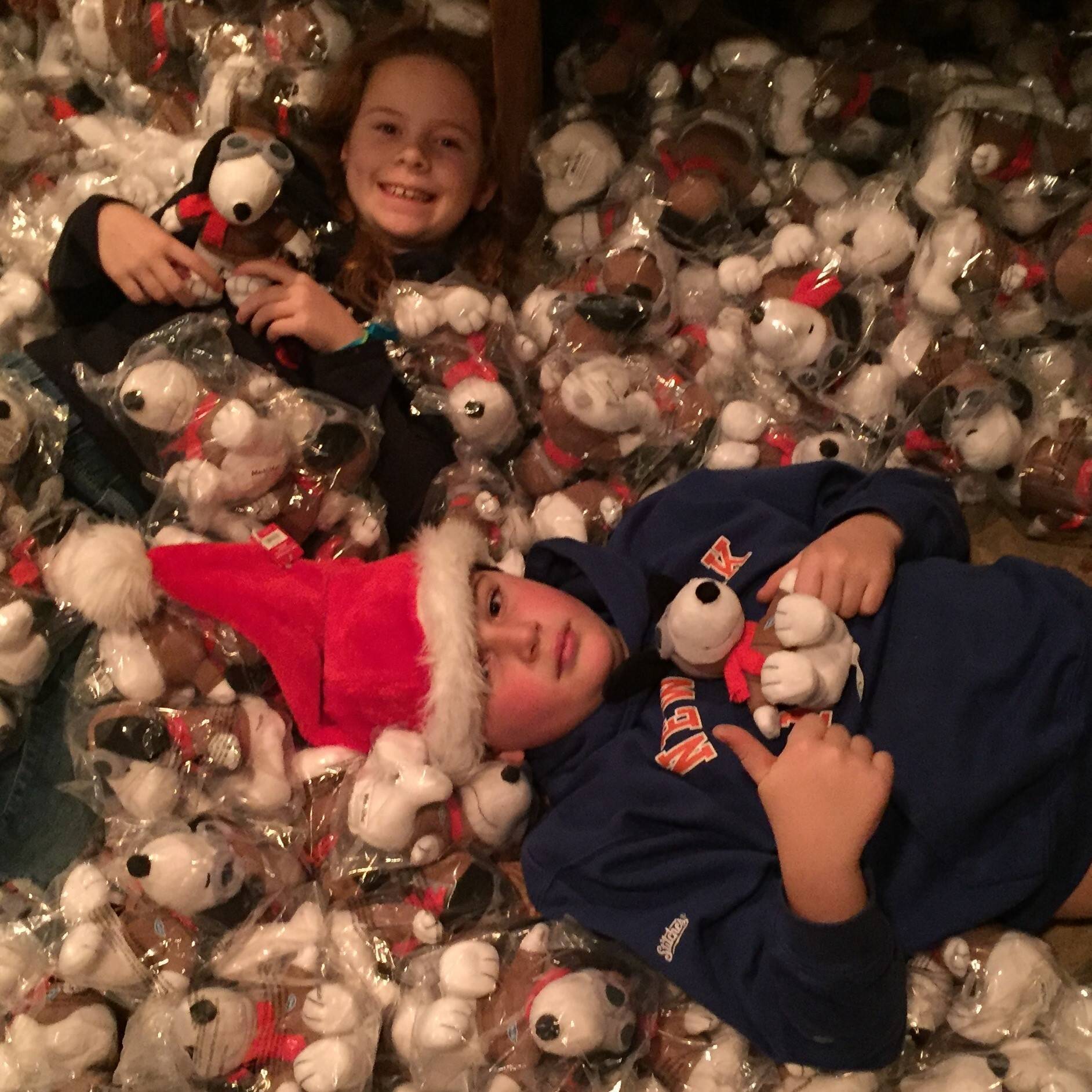 8517714f187753270320_snoppy_toy.jpg