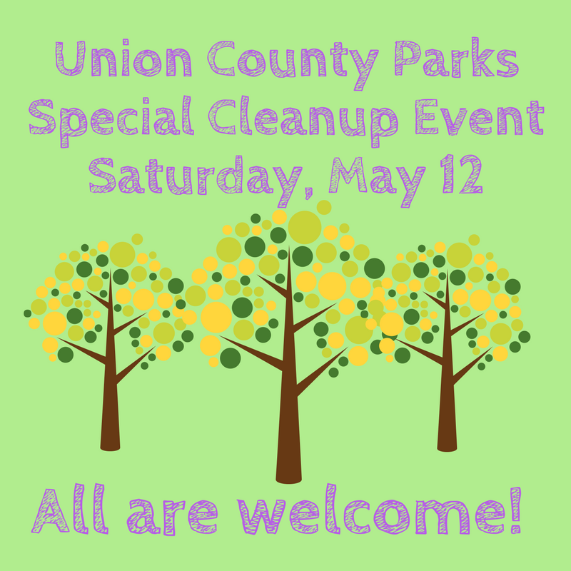 856db2d73bc974e926e4_Special_Cleanup_Event.jpg
