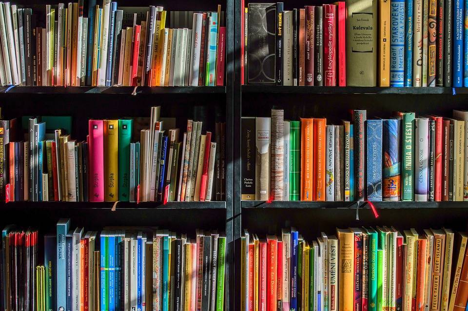 85c8ed716eea613ce4c4_books2.jpg