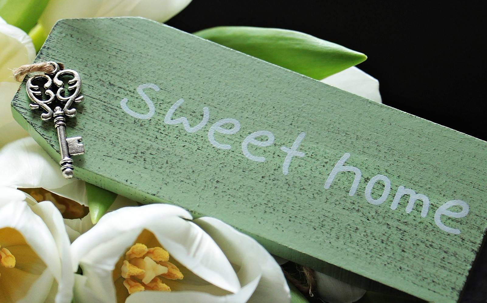 85fb7e73e24a43adc697_new_home_spring_tulips-2091609_1920_-_Edited.jpg