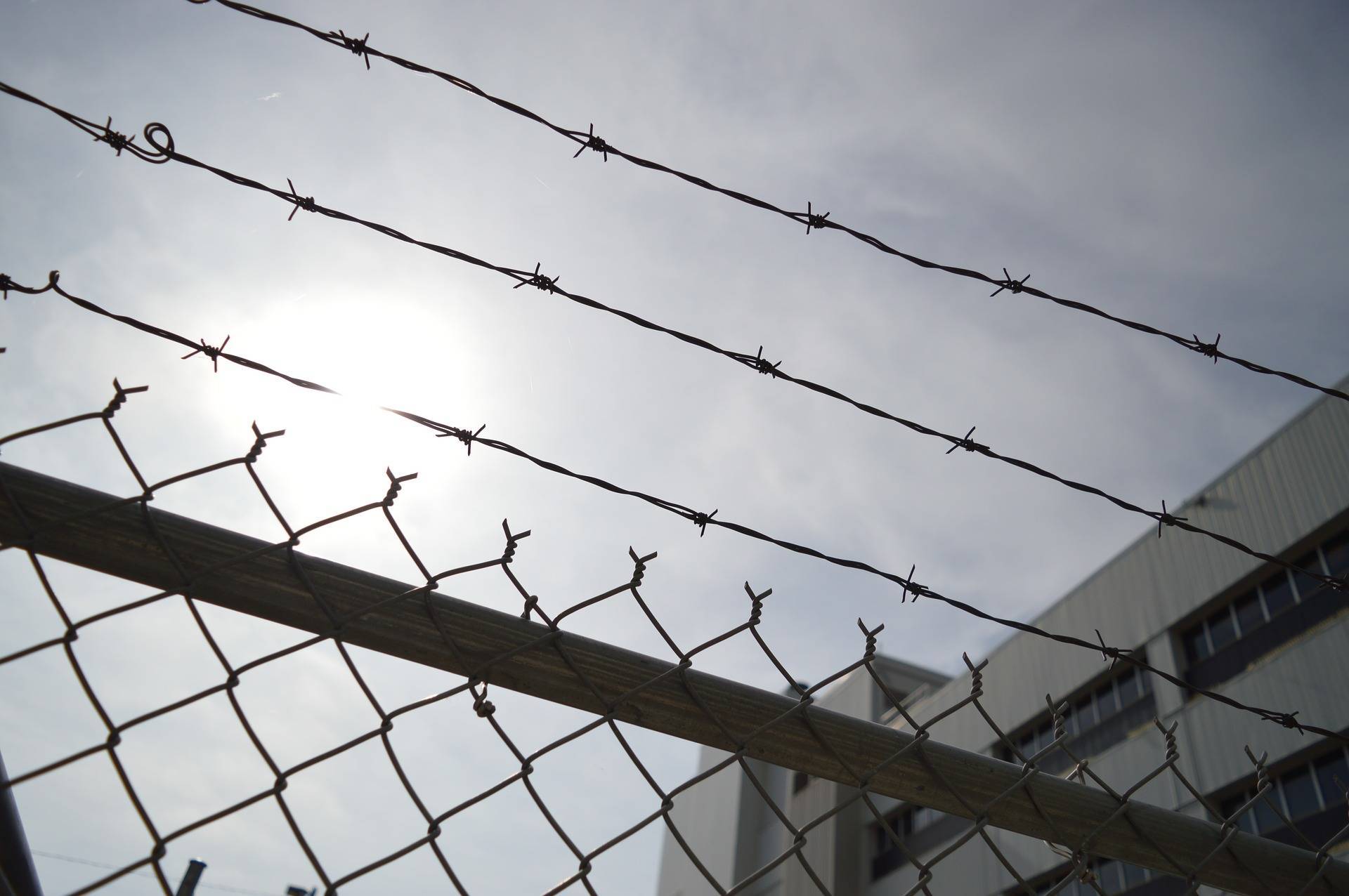 863f128135bb721bece0_barbed-wire-960248_1920.jpg