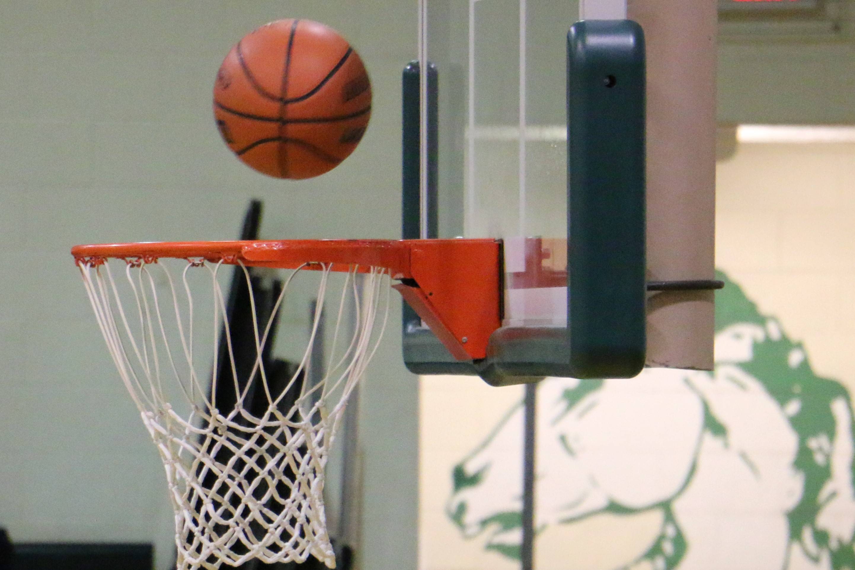 890acbf0f61db13cfd39_MTHS_basketball_pic2.jpg
