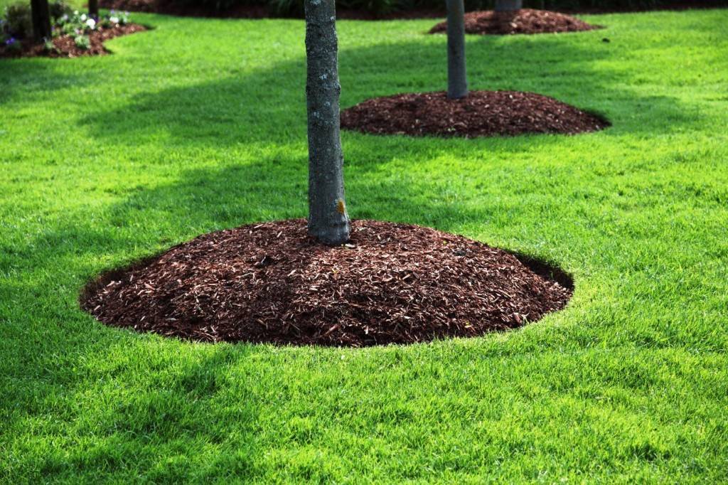 8a65d6994aa5854ebbf4_Mulch.jpg