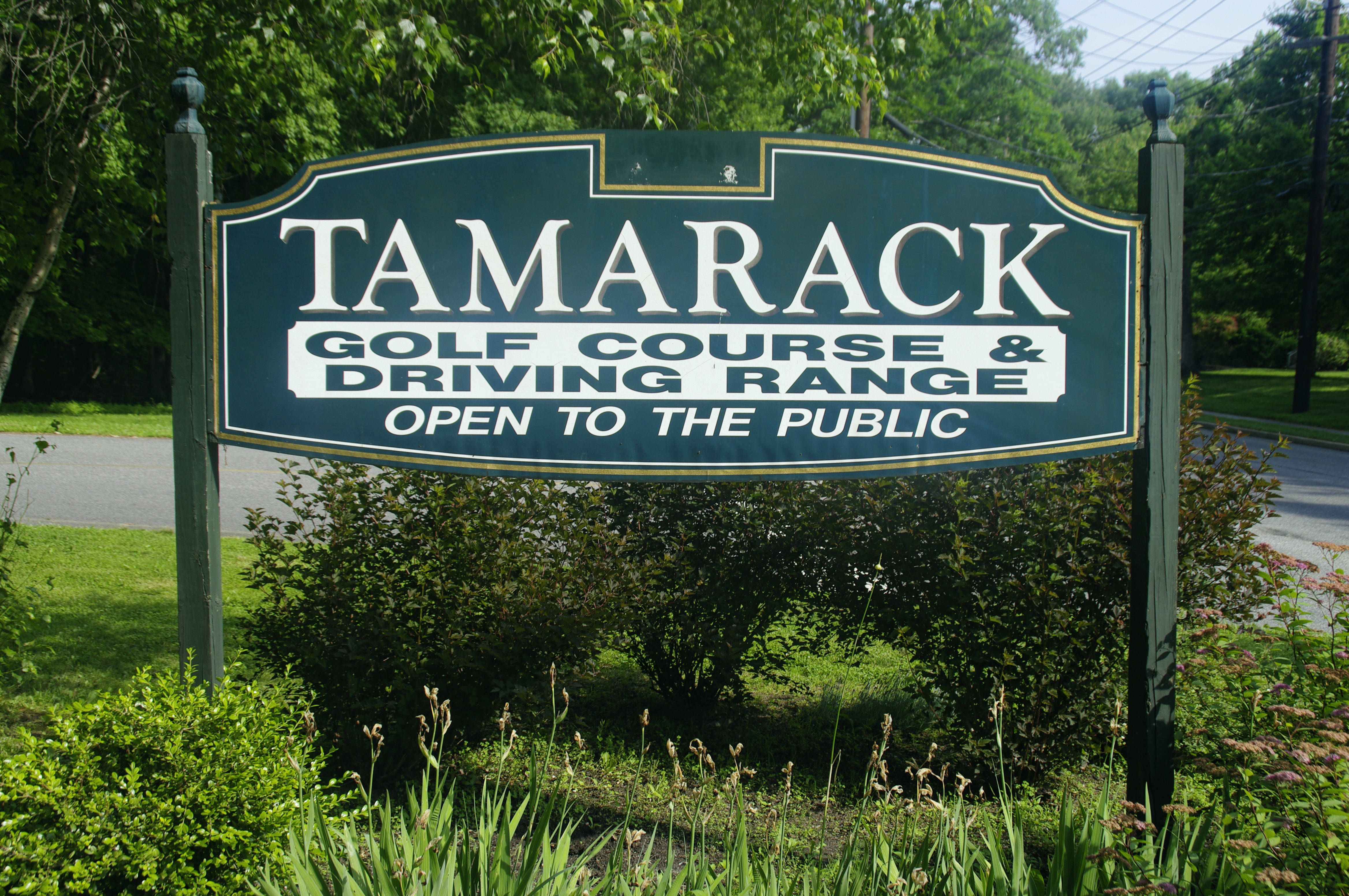 8d02f2f41f6af511336e_TamarackGolf.jpg