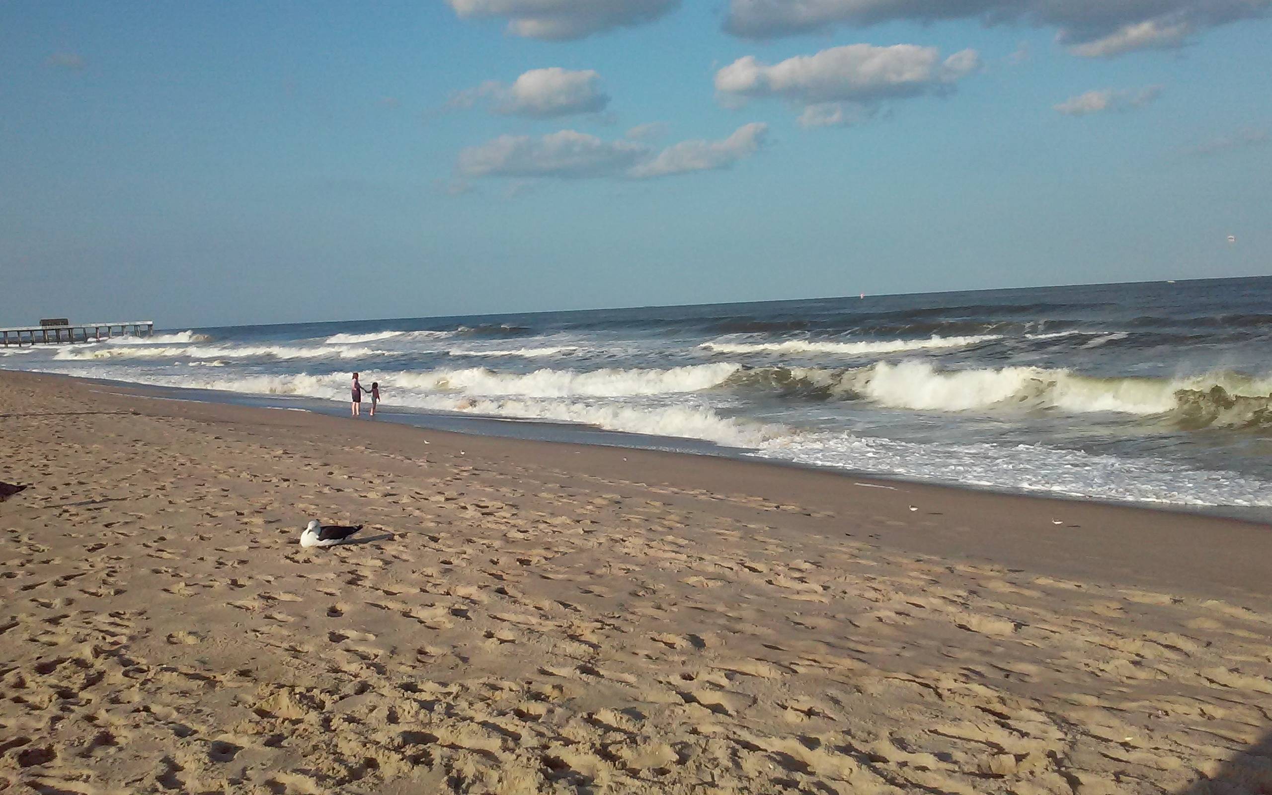 8dd91d0434216b56894d_belmarbeach-6.jpg