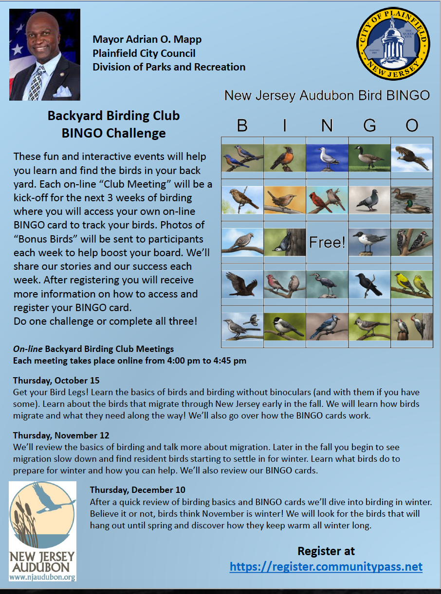 Backyard Birding Club BINGO Challenge TAPinto