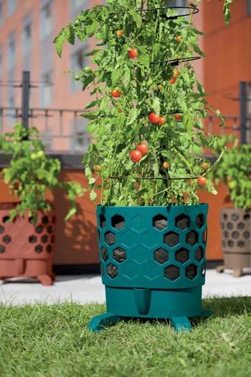 8e9aba9799a29487ffbb_tomato_planter_photocredit_gardeners_supply_company.jpg