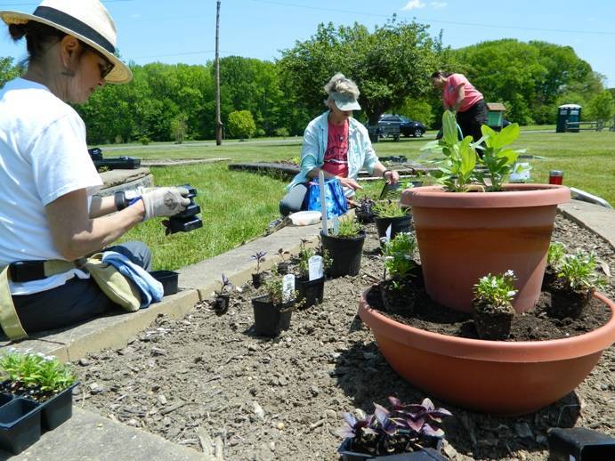 8f0e5de4deaa623d6fe7_MCC_Master_Gardening.jpg