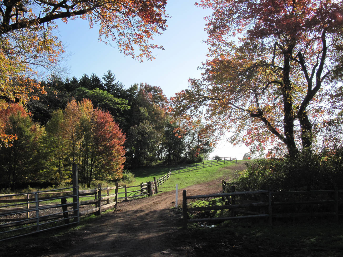 908609f2080c252558c9_Trail_copy.jpg