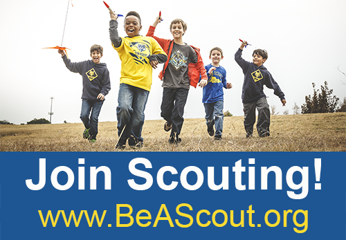 923af8e7dc85b25c56cf_Join-Scouting-banner-4.jpg