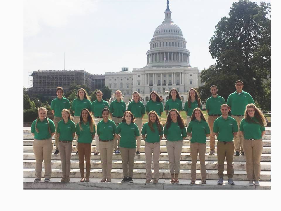 95e02c1565af07d8959e_sompix4Hwashingtoncapitol.jpg