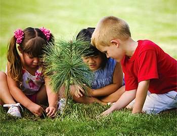 968b83dc16074c9362d0_sompixarborday2017.jpg
