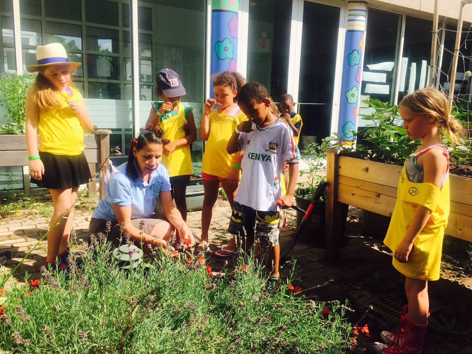 97fc5becd689a75b9c9c_camp_garden.jpg