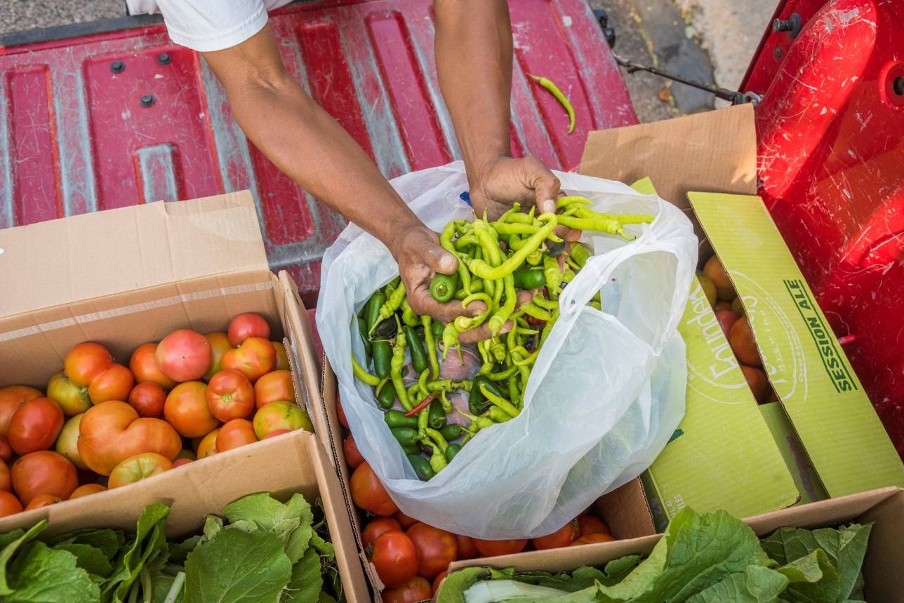 98cf15b1054f09f9a529_On_the_way_to_the_food_pantry_in_West_Philadelphia___Photo_by_Rob_Cardillo.jpg