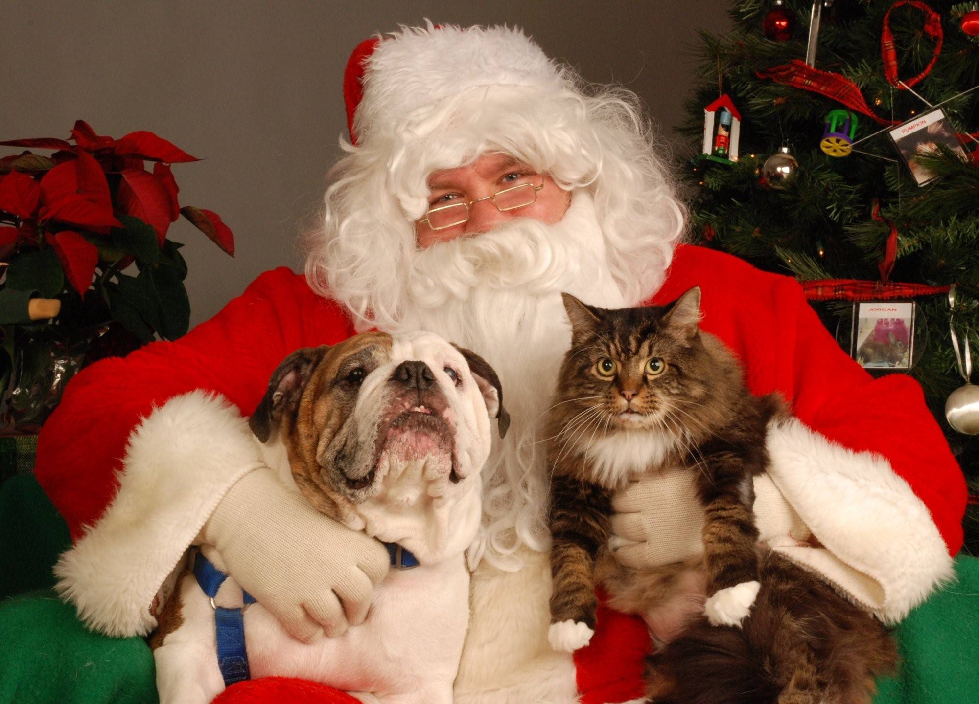 99262671c95cb8f9e1ed_photo_with_santa.jpg