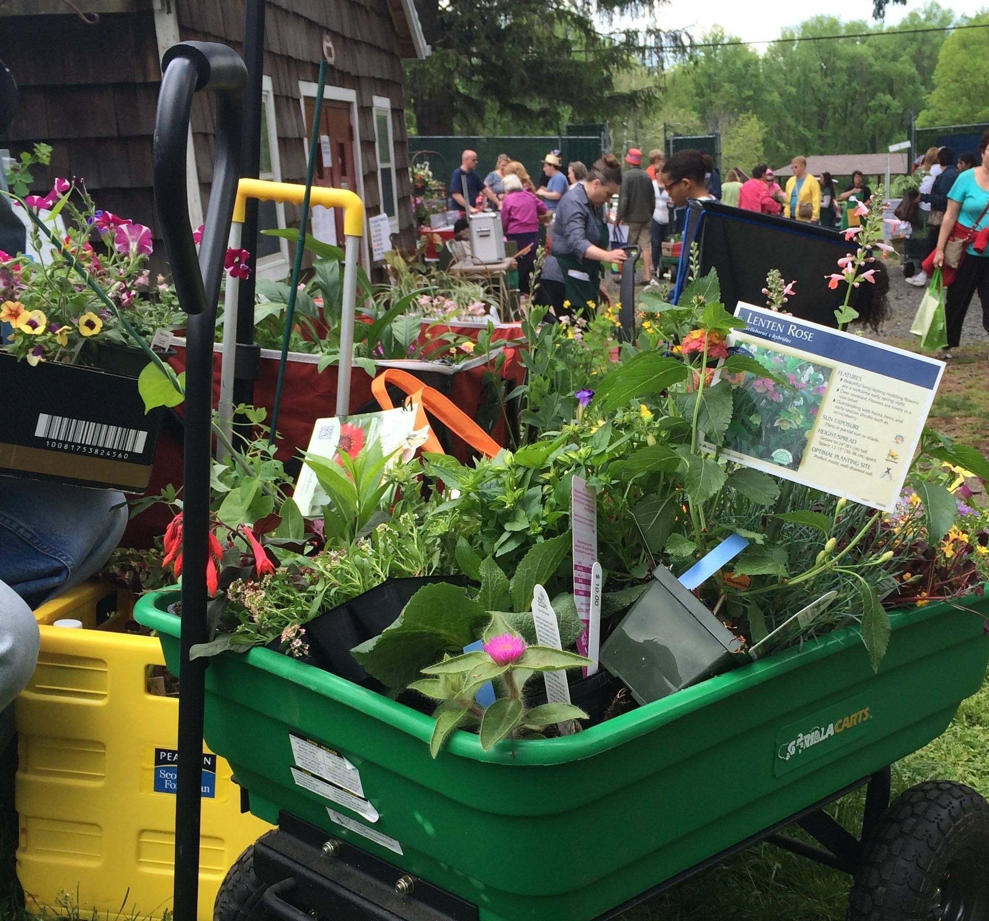 999118a6ffa007527f0a_Garden_Fair_with_wagon.jpg