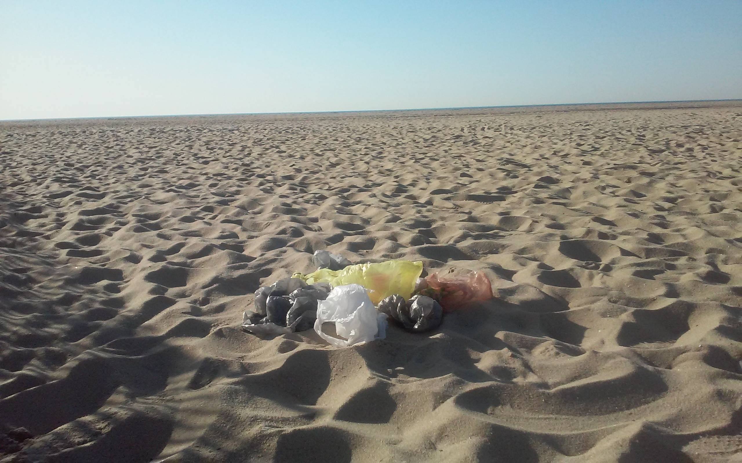 9a0f12a0a826b5ea954b_plasticbags.jpg
