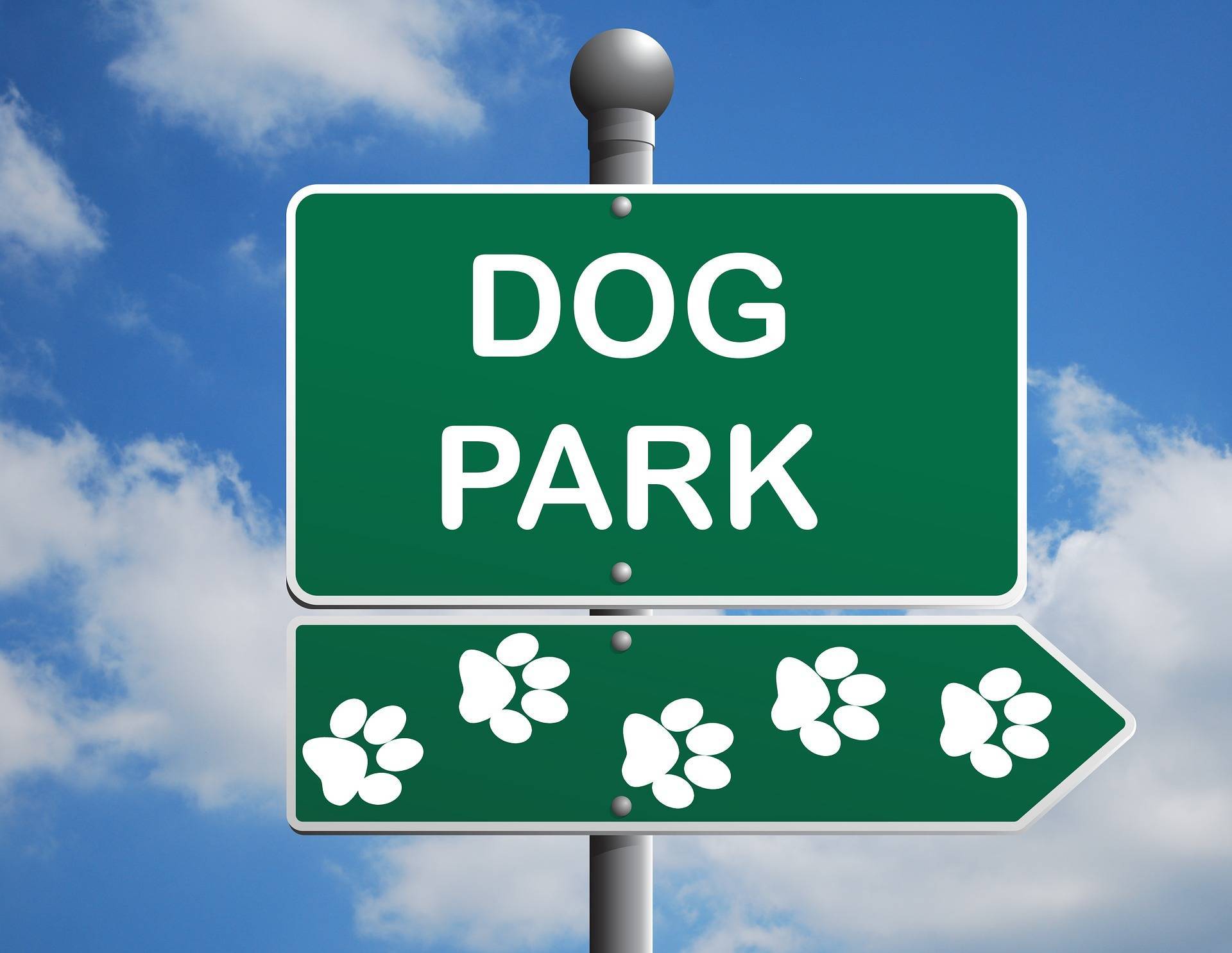 9ac7e676a5b6f40fa4ed_dog-park-1497655_1920.jpg