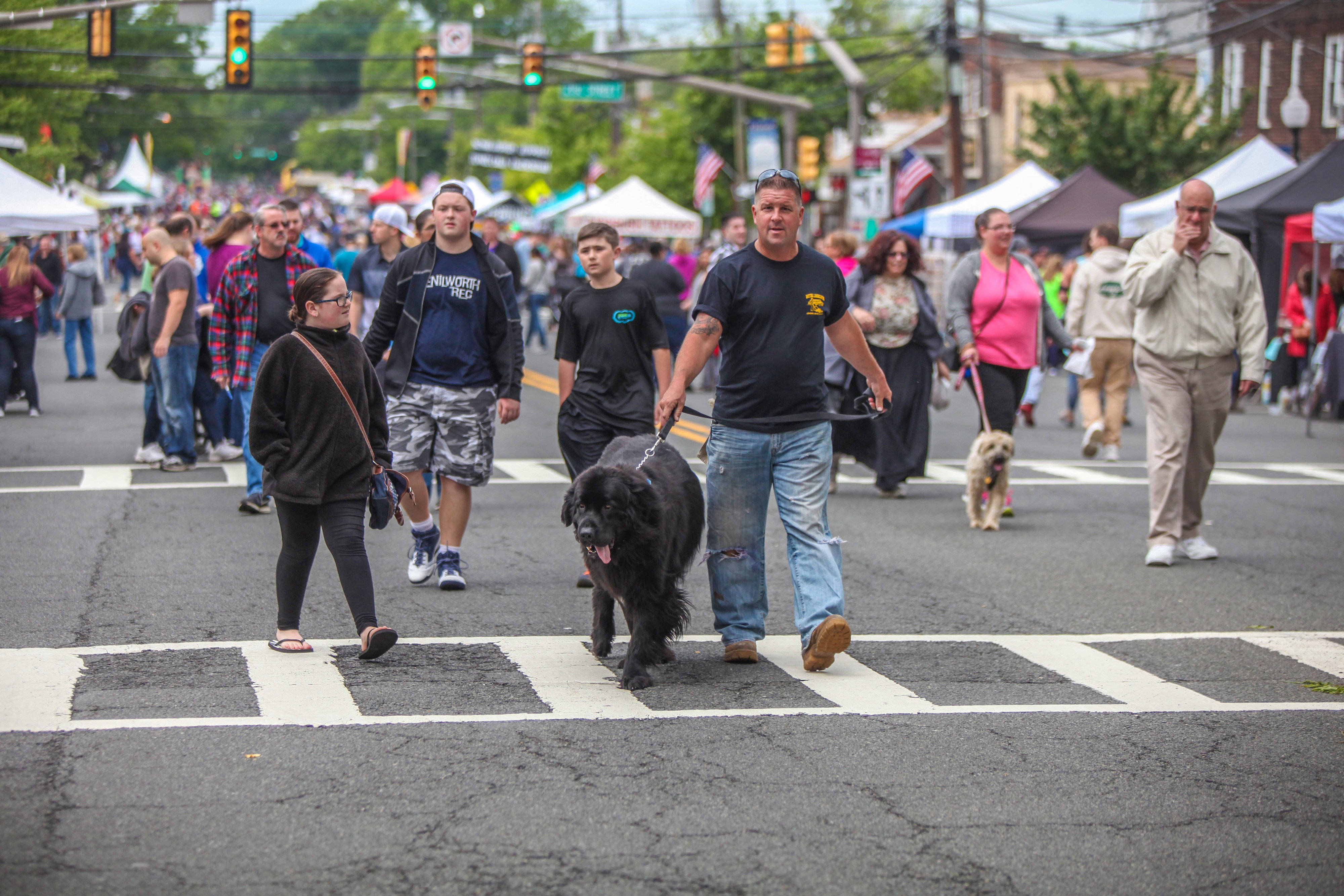 9e790b928349fd2b0b77_scalzadonna-Street_Fair-0001.jpg