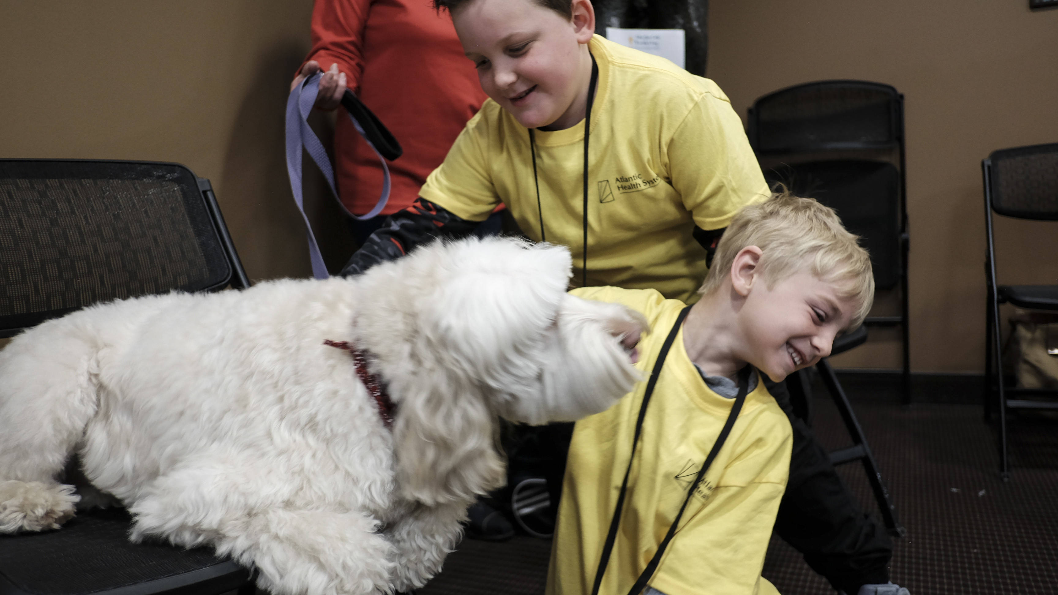 a2cb68e850d7de4412dc_Dog_kisses.jpg