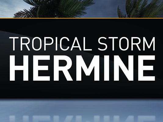 a3d6a9f34dc4b930e2b4_hermine2.jpg