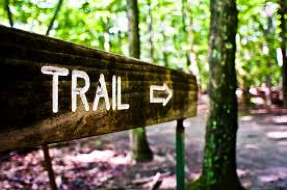 a525658d814cc083c6bc_trail.jpg