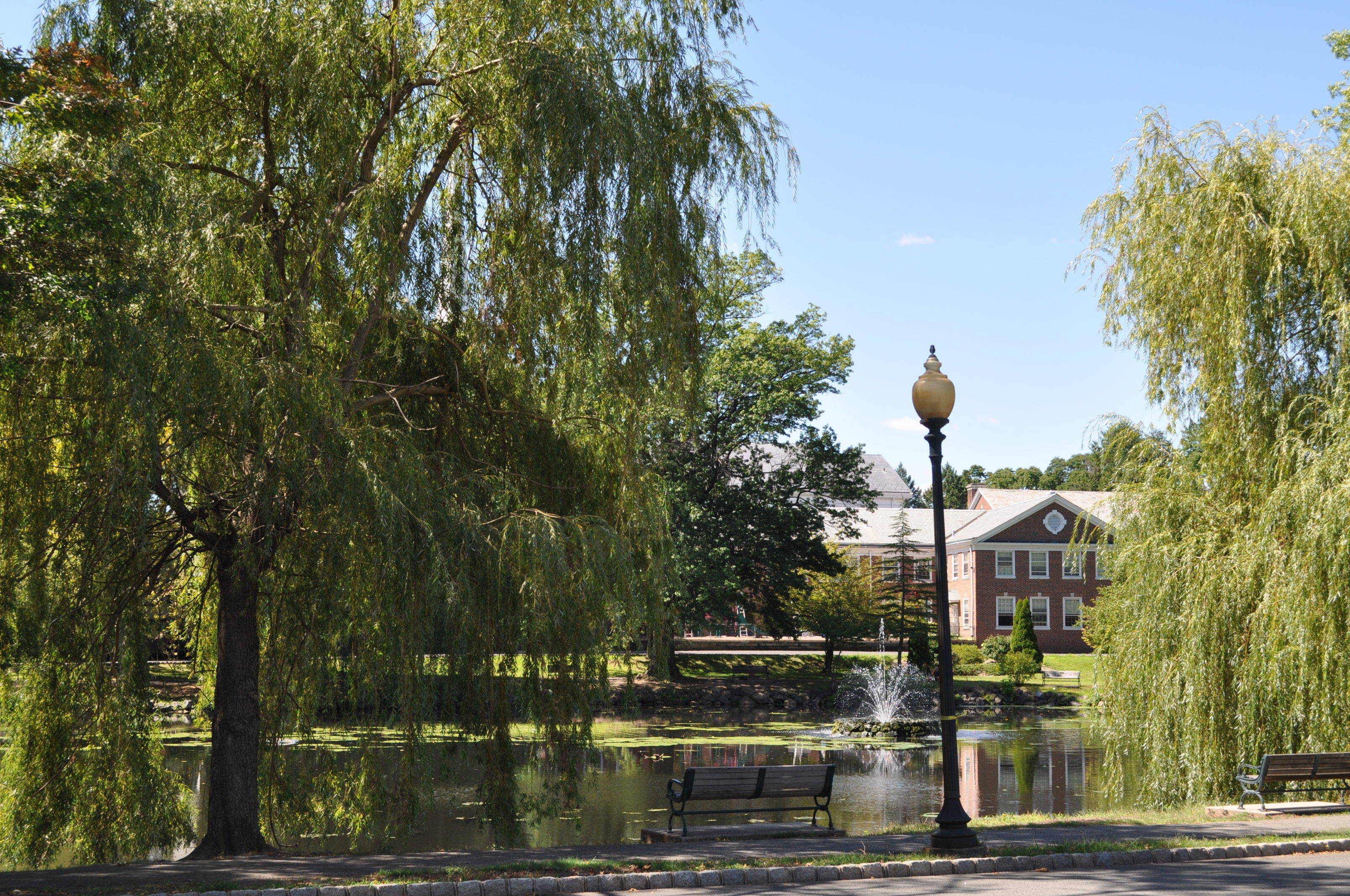 a7f74272a68160f5a41e_Mindowaskin_park.jpg
