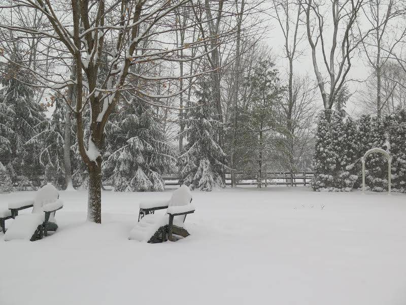 a8058b8facffa5dc2c1b_SNOWday2.17.4BBA.jpg