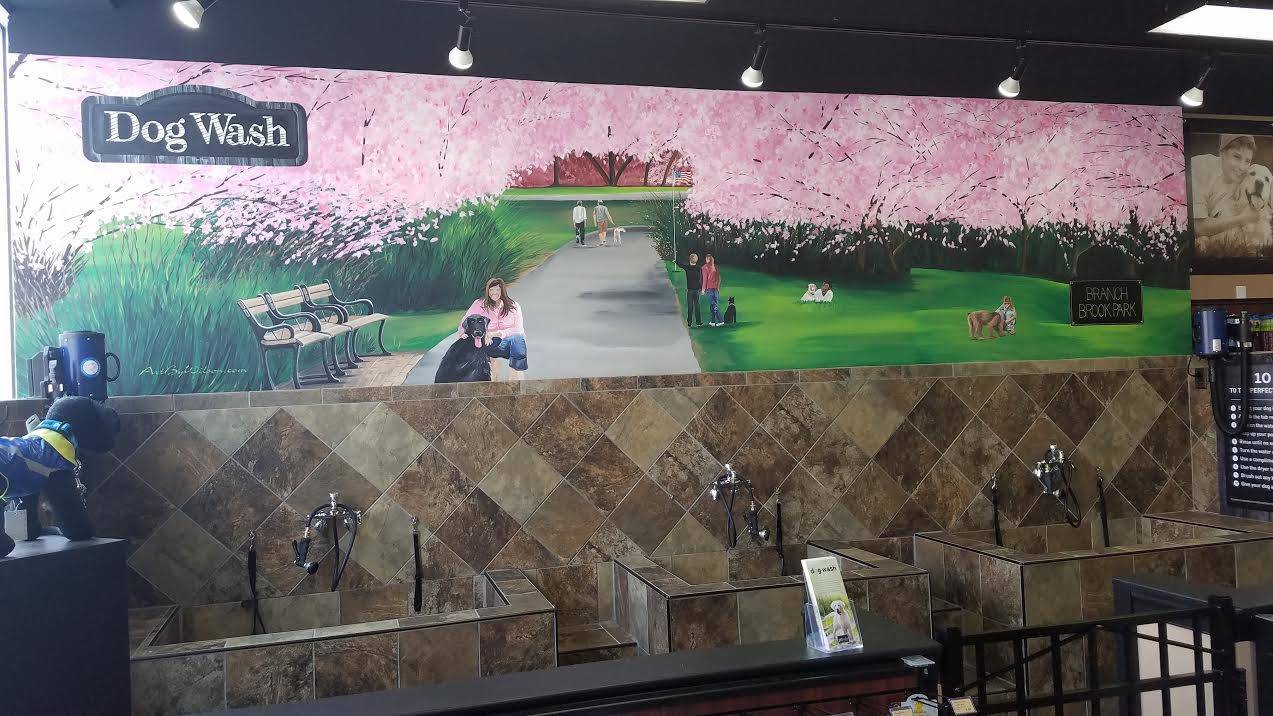 a80b449232cfe7463cda_PetValu_Dog_Wash_Mural_Branch_Brook_Park.jpg