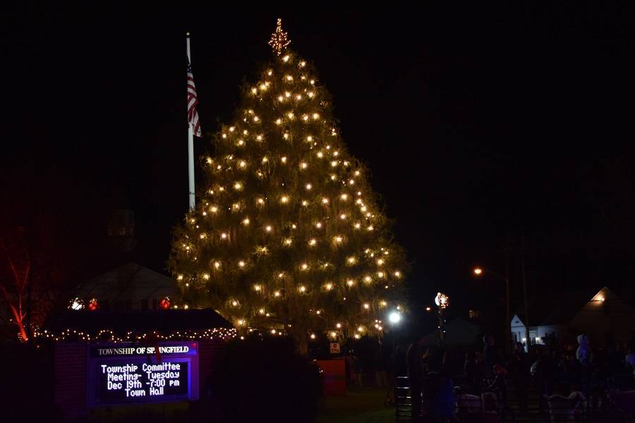 a860418bdc9c7f872e87_TL17Tree.jpg