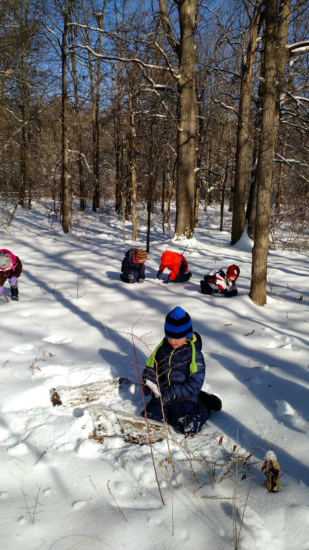 a98e042c703bb5f7c364_Winter_2016.jpg